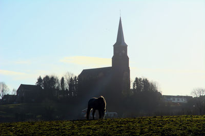 Horse outside church against clear sky