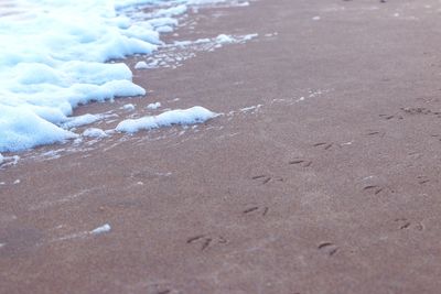 Close-up of frozen beach