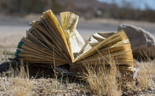 Close-up of abandoned book on field