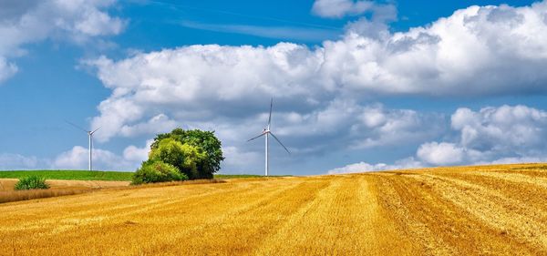 Panoramic view of agricultural field against sky