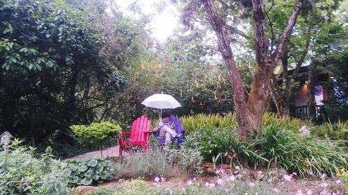 Woman sitting in a park