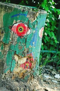 Close-up of old tree trunk