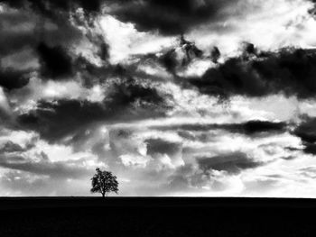 Scenic view of trees on field against sky