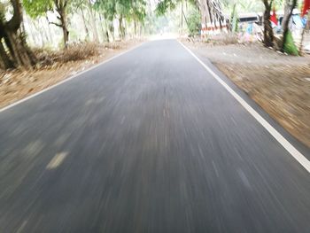 Road along trees