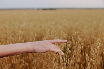 Cropped hand of woman on field