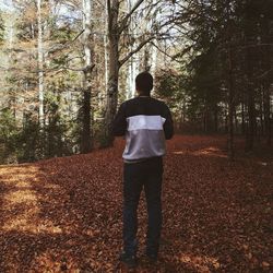 Rear view of man standing in forest