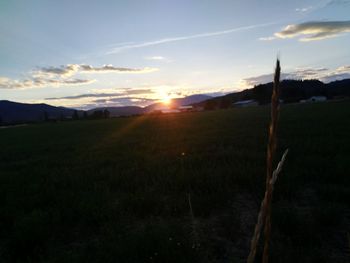 Scenic view of field against sky during sunset