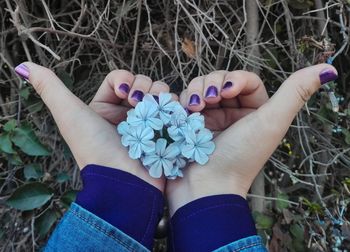 High angle view of woman hand holding purple flowering plants