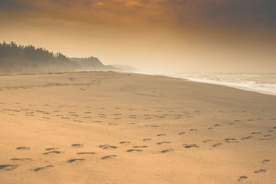 Scenic view of beach against sky during sunset