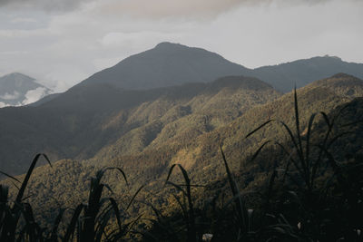 Scenic view of mountains against sky