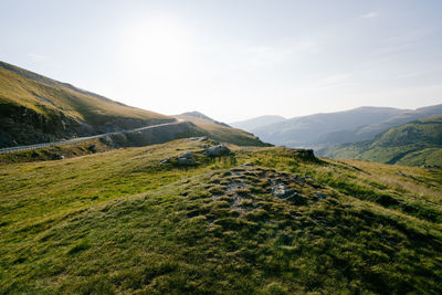 Scenic view of landscape against sky