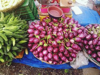High angle view of bitter gourds and eggplants for sale at market