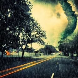 Close-up of road by trees against sky