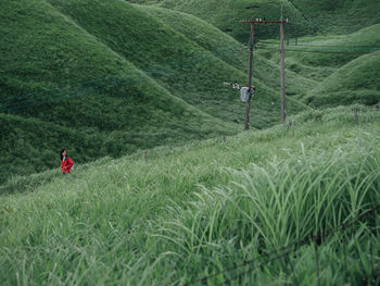 Man walking on field