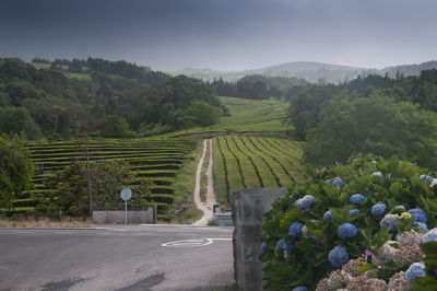 Aerial view of agricultural landscape against sky