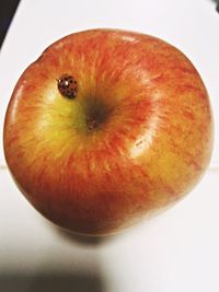 Close-up of red fruit over white background