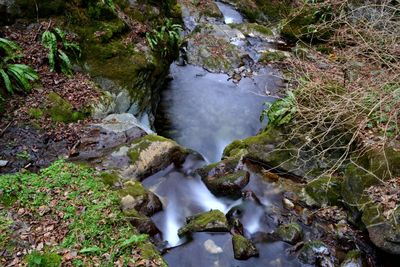 Stream flowing through rocks in forest