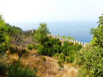 High angle view of plants by sea against sky