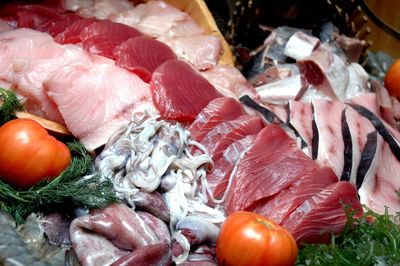 Close-up of raw seafood