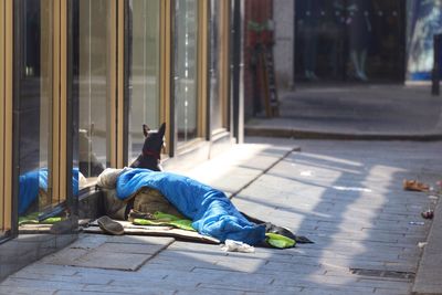 Homeless man sleeping on sidewalk by dog in city