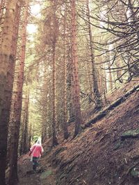 Rear view of woman walking in forest