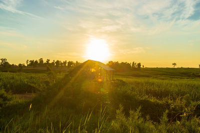 Scenic view of field against sky during sunset