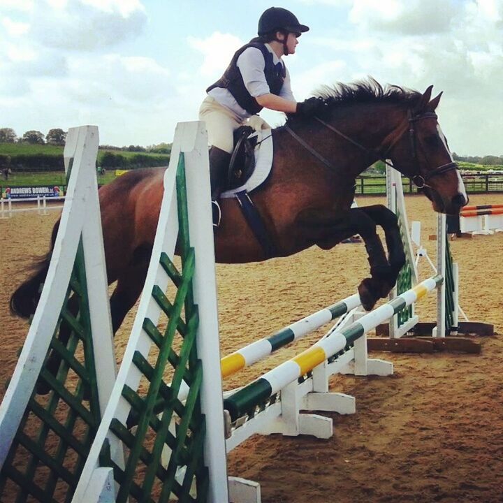 Showjumping