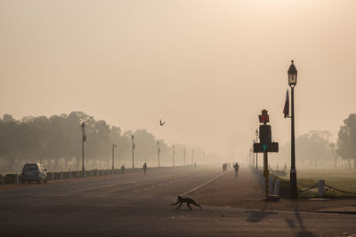 View of monkey running on road against clear sky