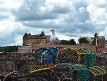 View of birds perching against cloudy sky