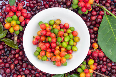 High angle view of fruits in bowl