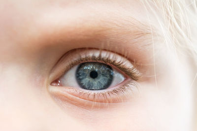 Close-up of human eye