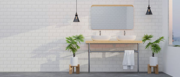 Potted plant on table against white wall