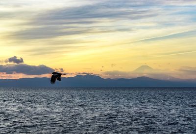 Silhouette man jumping in sea against sky during sunset