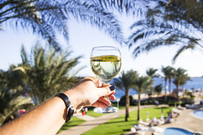Close-up of hand holding wine glass against trees