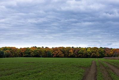 Scenic view of field against sky during autumn