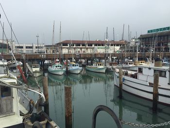 Boats moored in harbor