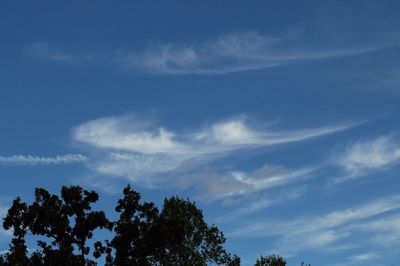 Low angle view of trees against cloudy sky