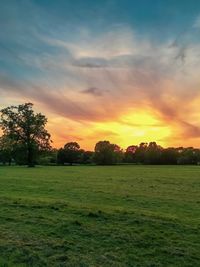 Scenic view of field against sky during sunset