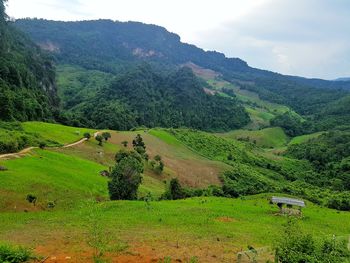 Scenic view of agricultural field against sky