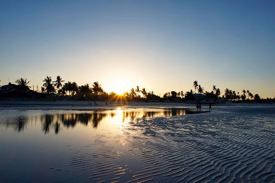 Reflection of trees in water at sunset