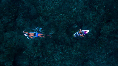 People swimming in sea