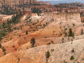 View of rock formations