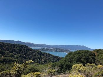 Scenic view of landscape against clear blue sky