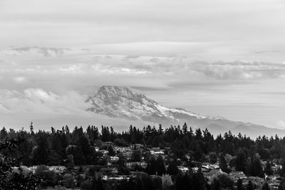 A blanked of clouds covers mount rainier in washington state.