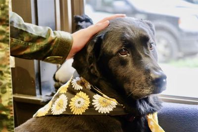 Close-up of person with dog