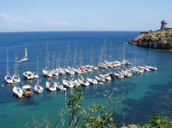 Sailboats moored on sea against sky