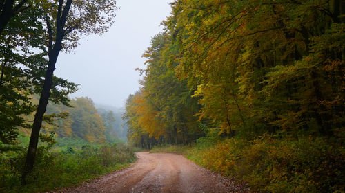 Road amidst trees against sky during autumn