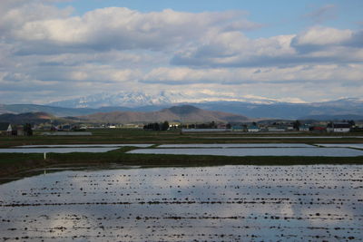 Scenic view of field by lake against sky