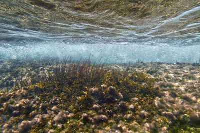 Close-up of sea water