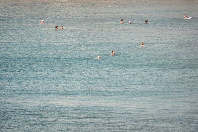 People swimming in the sea